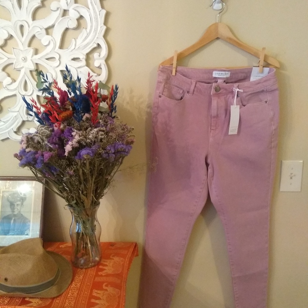 NWT Lane Bryant Pink Rose Skinny Jeans